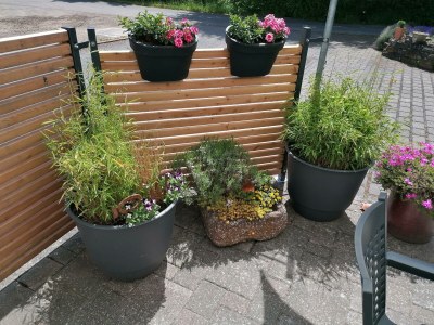 Apartment 2-Bett-Ferienwohnung Erdgeschoss, Terrasse - Outdoor photo 4