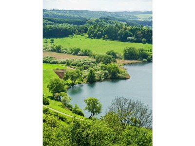 Apartment 2-Bett-Fewo Eifelurlaub - Outdoor photo 11