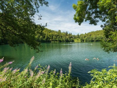 Apartment 2-Bett-Fewo Eifelurlaub - Outdoor photo 13