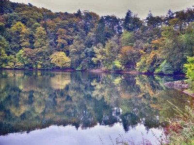 Apartment 2-Bett-Fewo Eifelurlaub - Outdoor photo 17