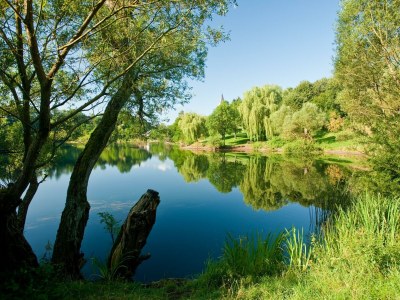 Apartment 2-Bett-Fewo Eifelurlaub - Outdoor photo 19