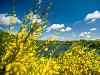 Apartment 2-Bett-Fewo Eifelurlaub - Outdoor photo 20