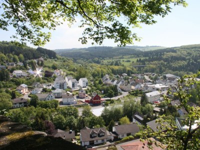 Apartment 2-Bett-Fewo Eifelurlaub - Outdoor photo 23