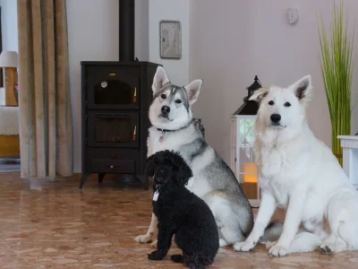 Apartment 12-Bett-Ferienhaus, Dusche oder Bad, 6 Schlafzi. - Outdoor photo 24