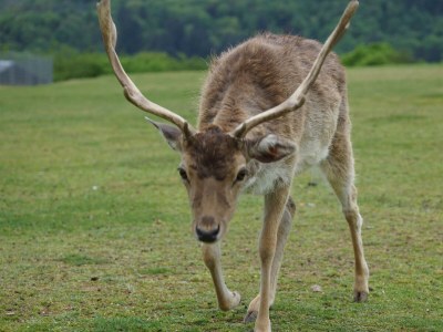 Apartment 12-Bett-Ferienhaus, Dusche oder Bad, 6 Schlafzi. - Outdoor photo 38