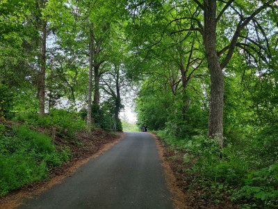 Apartment 8-Bettwohnung (Erdgeschoss) - No. II - Outdoor photo 12