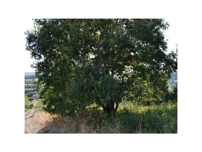 Apartment 8-Bettwohnung (Erdgeschoss) - No. II - Outdoor photo 17