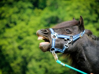 Apartment Ferienwohnung "Sperling" für 4 Personen, EG - Outdoor photo 7