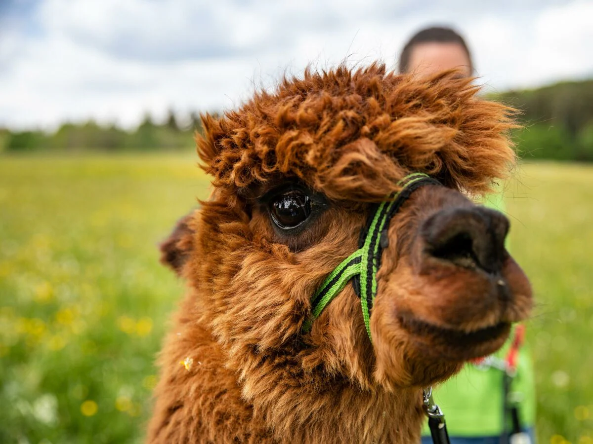Apartment Ferienwohnung "Bussard" für 4 Personen, Erdgeschoß - Outdoor photo 3