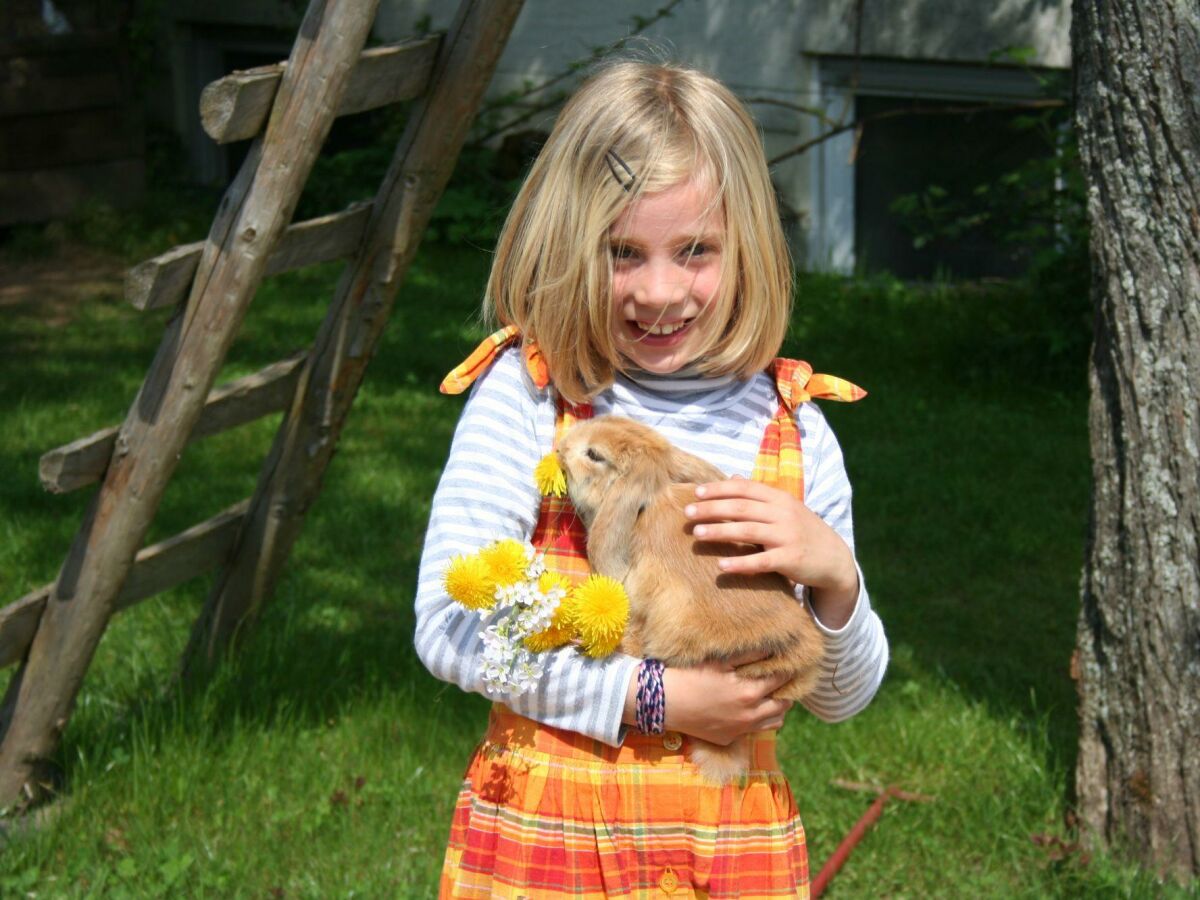 Apartment Ferienhaus (Gerberhaus gesamt) für 5-7 Personen - Outdoor photo 3