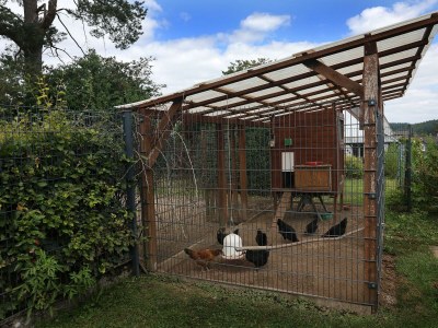 Apartment Ferienhaus (Gerberhaus gesamt) für 5-7 Personen - Features photo 29