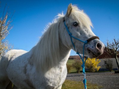 Apartment Ferienhaus "Elster" für 4 Personen, Erdgeschoß - Outdoor photo 17