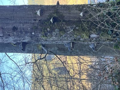 Apartment 2-Bett-Ferienwohnung Dusche/WC, 1 Schlafraum - Outdoor photo 20