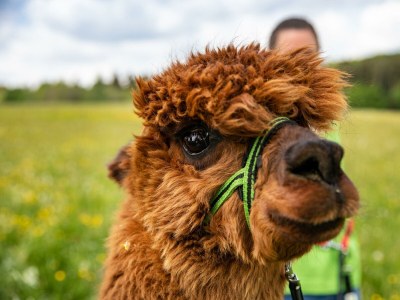 Apartment Ferienhaus "Adler" für 6 Personen, Erdgeschoß - Outdoor photo 3