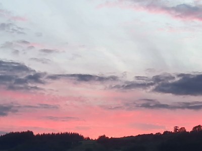 Apartment 4-Bett-Ferienwohnung Weiße Ley - Environment photo 48