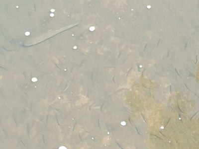 Apartment 4-Bett-Ferienwohnung Weiße Ley - Environment photo 52