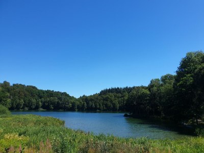 Apartment 4-Bett-Ferienwohnung Weiße Ley - Environment photo 54