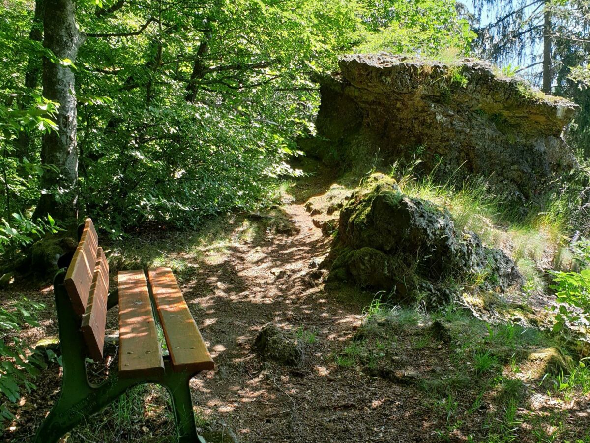 Apartment 2-Bett-Ferienwohnung Tellerley - Outdoor photo 5