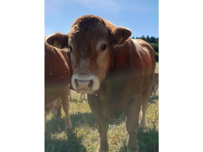 Apartment 2-Bett-Ferienwohnung Tellerley - Outdoor photo 11