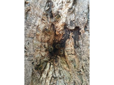 Apartment 2-Bett-Ferienwohnung Tellerley - Outdoor photo 13