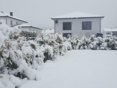 Apartment 2-Bett-Ferienwohnung Tellerley - Outdoor photo 19