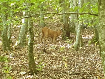 Apartment 2-Bett-Ferienwohnung Tellerley - Outdoor photo 23