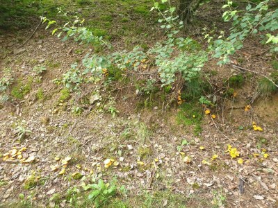 Apartment 2-Bett-Ferienwohnung Tellerley - Outdoor photo 25