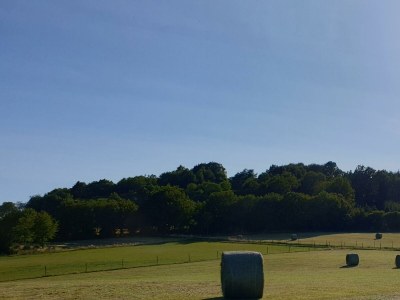 Apartment 2-Bett-Ferienwohnung Tellerley - Outdoor photo 34