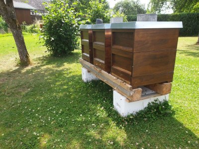 Apartment 2-Bett-Ferienwohnung Aarley - Outdoor photo 6