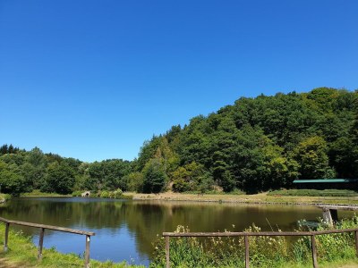 Apartment 2-Bett-Ferienwohnung Aarley - Outdoor photo 10