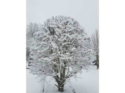 Apartment 2-Bett-Ferienwohnung Aarley - Outdoor photo 15