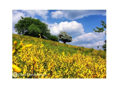 Apartment 2-Bett-Ferienwohnung  Du/WC bis max. 4 Personen - Environment photo 26