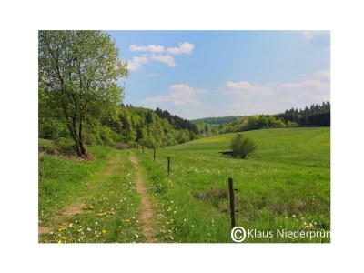 Apartment 2-Bett-Ferienwohnung  Du/WC bis max. 4 Personen - Environment photo 27