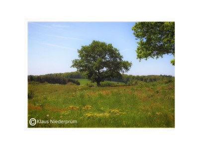 Apartment 2-Bett-Ferienwohnung  Du/WC bis max. 4 Personen - Environment photo 28