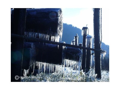 Apartment 2-Bett-Ferienwohnung  Du/WC bis max. 4 Personen - Environment photo 34