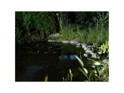 Apartment 2-Bett-Ferienwohnung  Du/WC bis max. 4 Personen - Environment photo 35