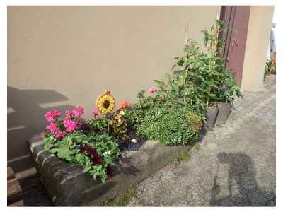 Apartment 7-Bett-Ferienhaus Dusche/WC, 4 Schlafräume - Outdoor photo 8