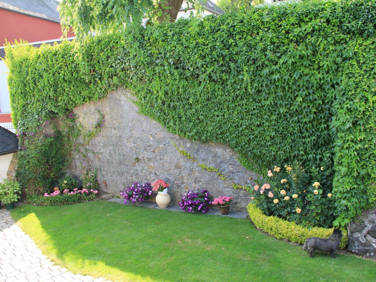 Apartment 4-Bett-Ferienwohnung mit Balkon und Terrasse - Outdoor photo 4