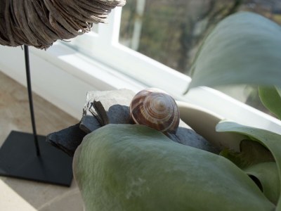 Apartment Mooshütte - Outdoor photo 6