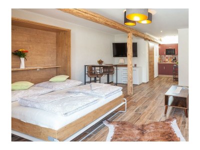 Apartment Kuhstall mit Terrasse und Maarblick für 1-2 Pers. - Features photo 6