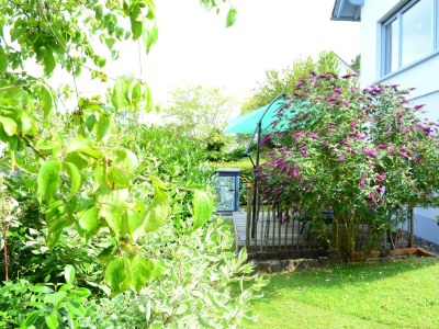 Apartment 2-Bett-Ferienwohnung - Features photo 31