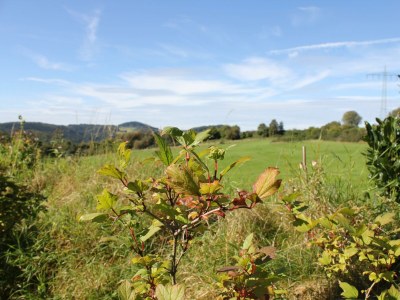 Apartment 4-Bett-Ferienhaus Haus Sonne - Outdoor photo 4