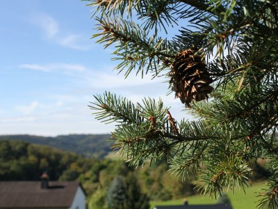 Apartment 4-Bett-Ferienhaus Haus Sonne - Outdoor photo 7