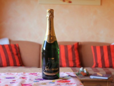 Apartment 4-Bett-Ferienhaus Haus Sonne - Features photo 31