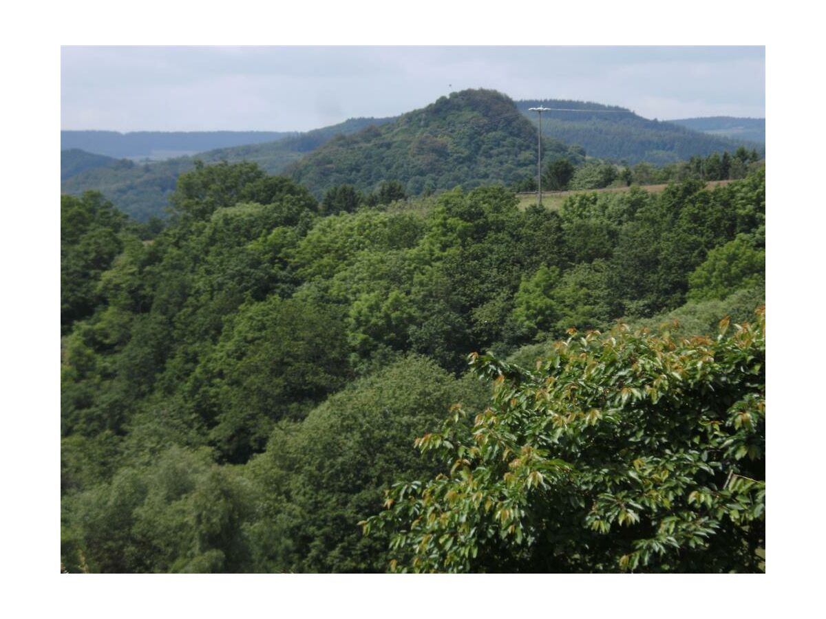 Apartment 4-Bett-Ferienhaus Sonnenschein - Outdoor photo 3