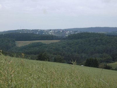 Apartment 4-Bett-Ferienhaus Sonnenschein - Outdoor photo 15