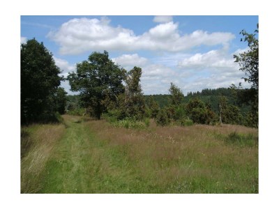 Apartment 4-Bett-Ferienhaus Sonnenschein - Outdoor photo 16