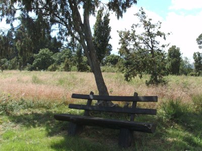 Apartment 4-Bett-Ferienhaus Sonnenschein - Outdoor photo 17