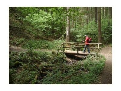 Apartment 4-Bett-Ferienhaus Sonnenschein - Outdoor photo 19