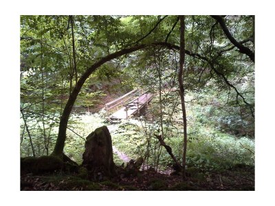 Apartment 3-Bett-Ferienwohnung Dusche/WC, 2 Schlafräume - Outdoor photo 9